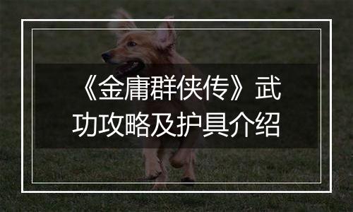 《金庸群侠传》武功攻略及护具介绍