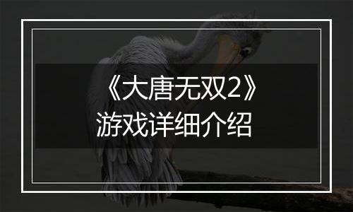 《大唐无双2》游戏详细介绍