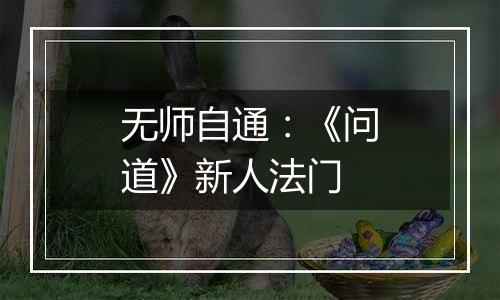 无师自通：《问道》新人法门