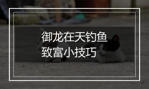 御龙在天钓鱼致富小技巧