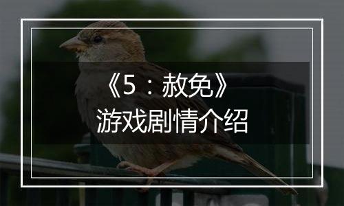 《5：赦免》游戏剧情介绍