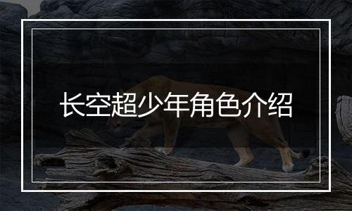 长空超少年角色介绍