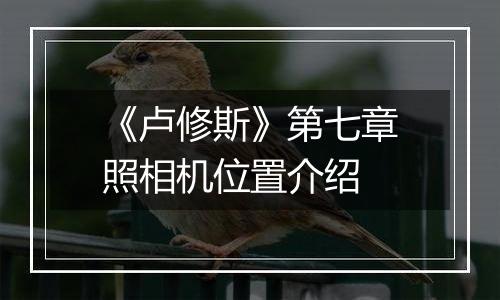 《卢修斯》第七章照相机位置介绍