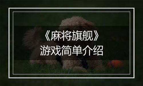 《麻将旗舰》游戏简单介绍