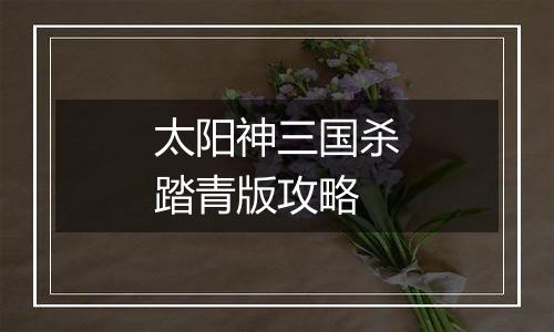 太阳神三国杀踏青版攻略