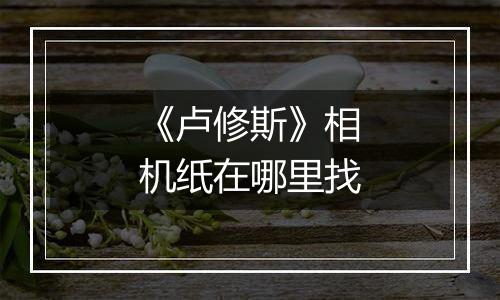 《卢修斯》相机纸在哪里找