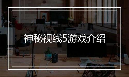 神秘视线5游戏介绍