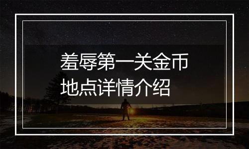 羞辱第一关金币地点详情介绍