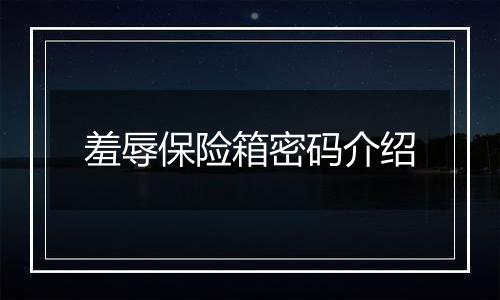 羞辱保险箱密码介绍