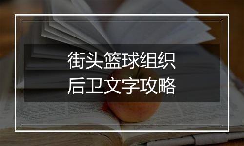 街头篮球组织后卫文字攻略