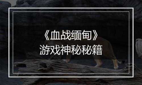 《血战缅甸》游戏神秘秘籍