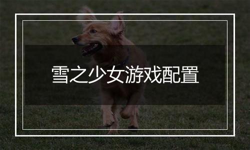 雪之少女游戏配置
