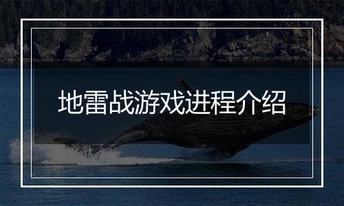 地雷战游戏进程介绍
