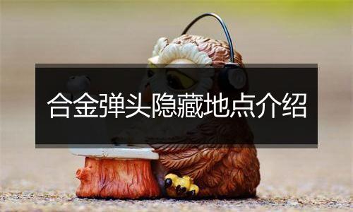 合金弹头隐藏地点介绍
