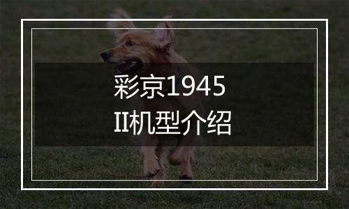 彩京1945 II机型介绍