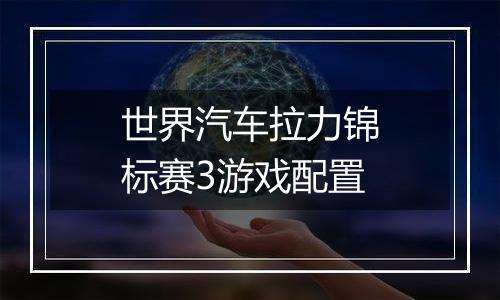 世界汽车拉力锦标赛3游戏配置