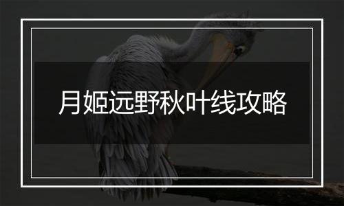 月姬远野秋叶线攻略