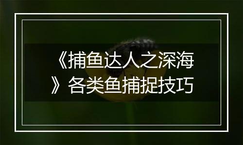 《捕鱼达人之深海》各类鱼捕捉技巧