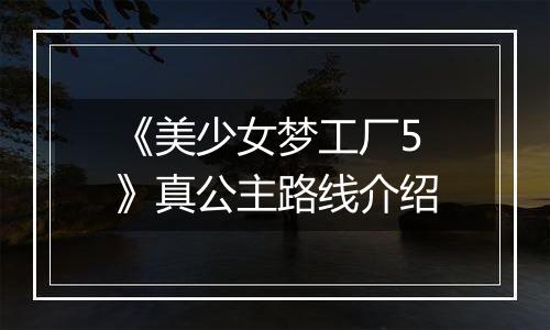 《美少女梦工厂5》真公主路线介绍