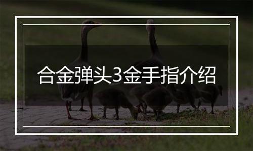 合金弹头3金手指介绍