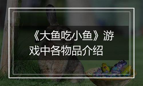 《大鱼吃小鱼》游戏中各物品介绍