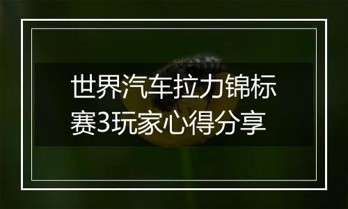 世界汽车拉力锦标赛3玩家心得分享