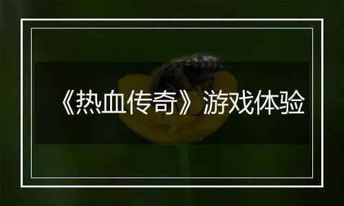 《热血传奇》游戏体验
