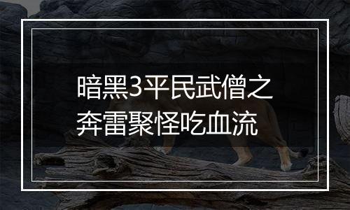 暗黑3平民武僧之奔雷聚怪吃血流