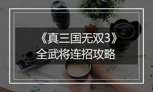 《真三国无双3》全武将连招攻略