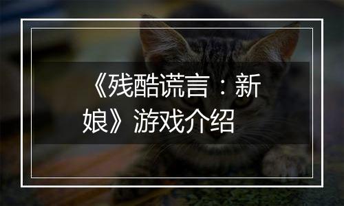 《残酷谎言：新娘》游戏介绍