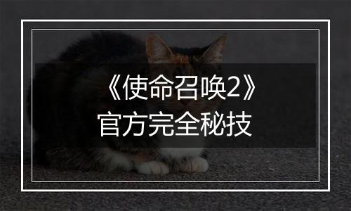 《使命召唤2》官方完全秘技