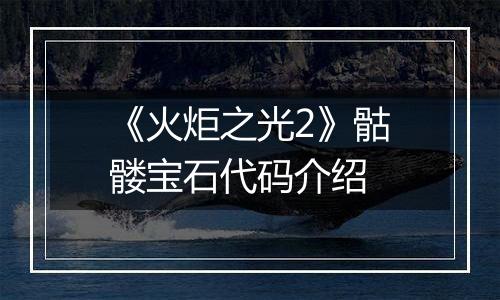 《火炬之光2》骷髅宝石代码介绍