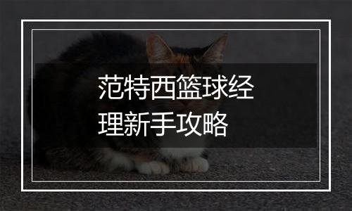 范特西篮球经理新手攻略