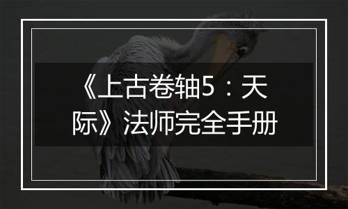 《上古卷轴5：天际》法师完全手册
