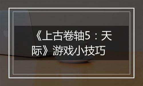 《上古卷轴5：天际》游戏小技巧
