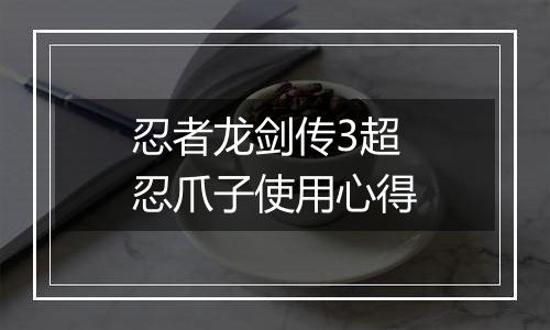 忍者龙剑传3超忍爪子使用心得