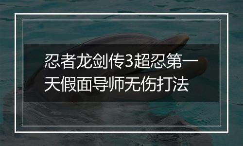 忍者龙剑传3超忍第一天假面导师无伤打法
