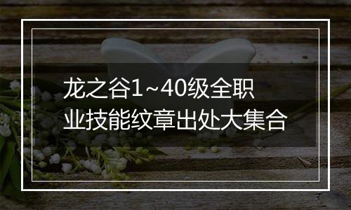 龙之谷1~40级全职业技能纹章出处大集合