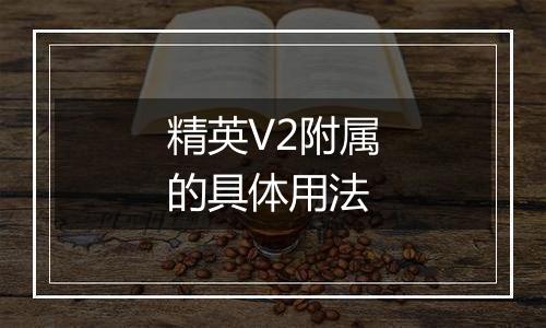 精英V2附属的具体用法