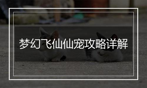 梦幻飞仙仙宠攻略详解