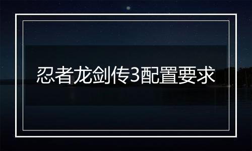 忍者龙剑传3配置要求