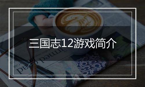 三国志12游戏简介