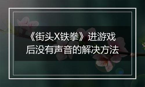 《街头X铁拳》进游戏后没有声音的解决方法