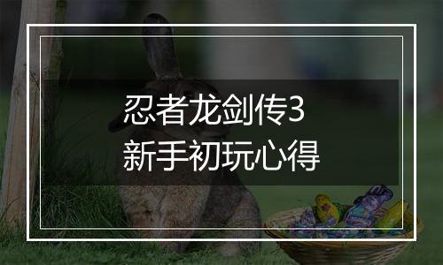 忍者龙剑传3新手初玩心得