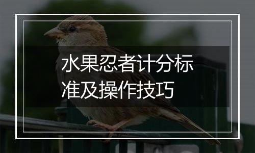 水果忍者计分标准及操作技巧