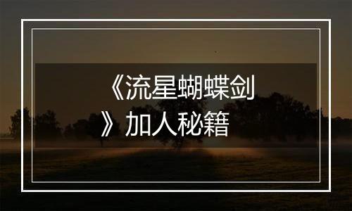 《流星蝴蝶剑》加人秘籍