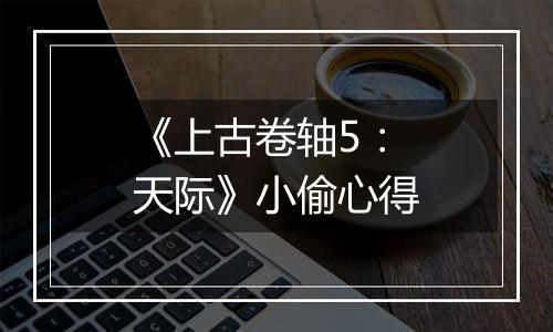 《上古卷轴5：天际》小偷心得