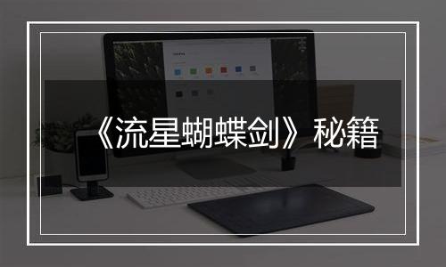 《流星蝴蝶剑》秘籍