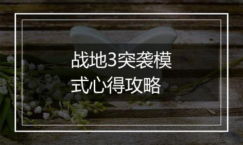 战地3突袭模式心得攻略
