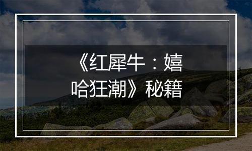 《红犀牛：嬉哈狂潮》秘籍